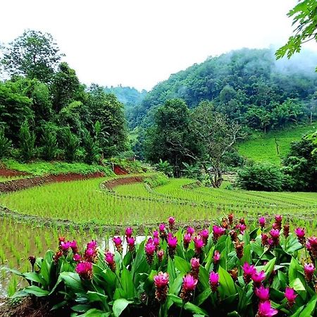 Kowitfarmstay Ban Mae Pan Noi Экстерьер фото