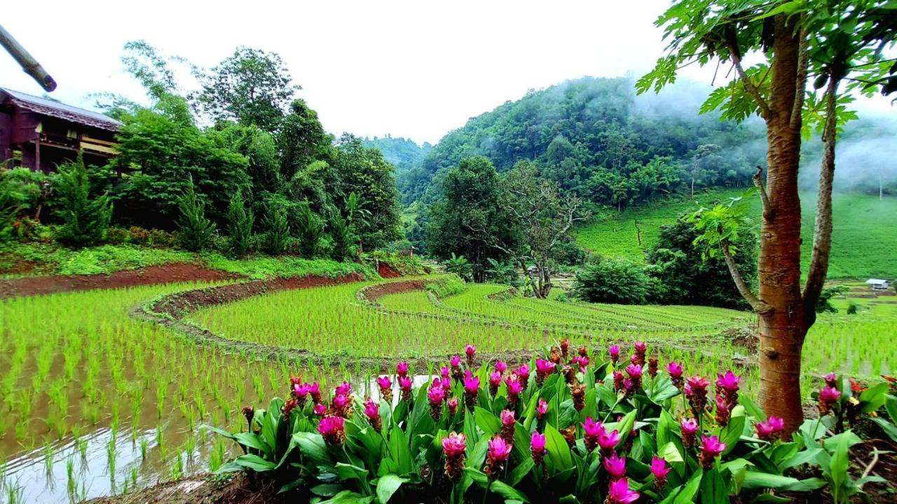 Kowitfarmstay Ban Mae Pan Noi Экстерьер фото