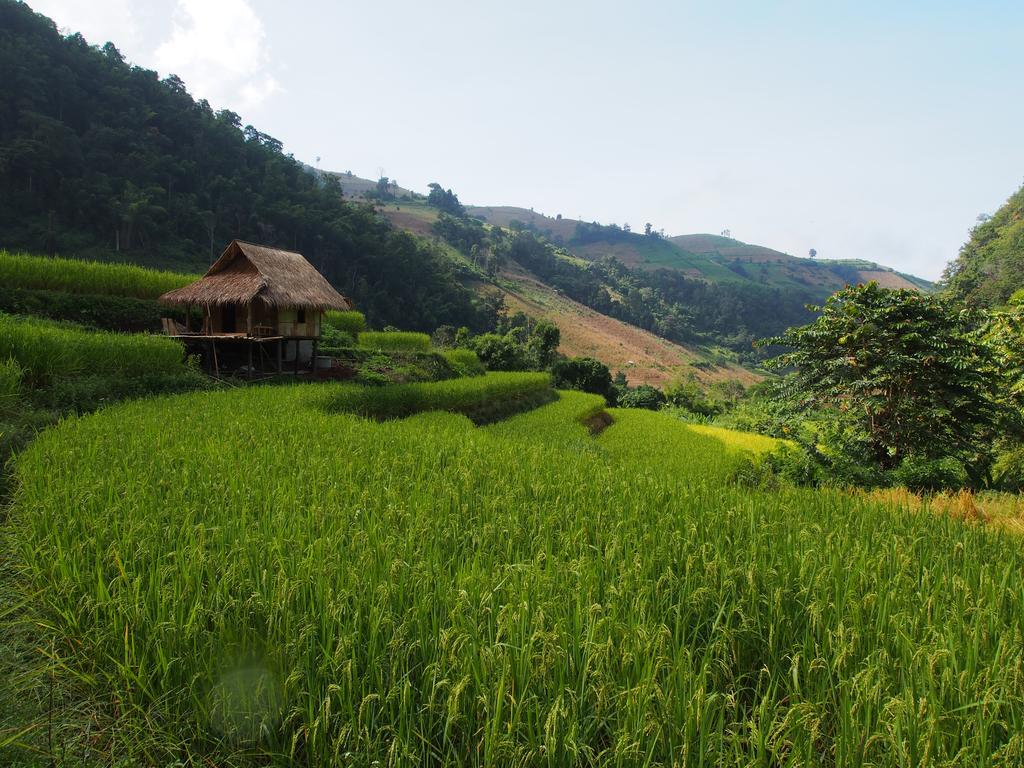Kowitfarmstay Ban Mae Pan Noi Экстерьер фото