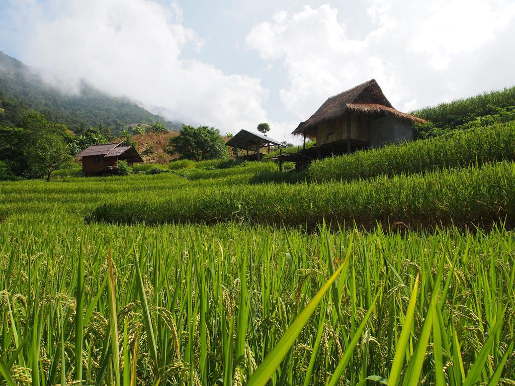 Kowitfarmstay Ban Mae Pan Noi Экстерьер фото