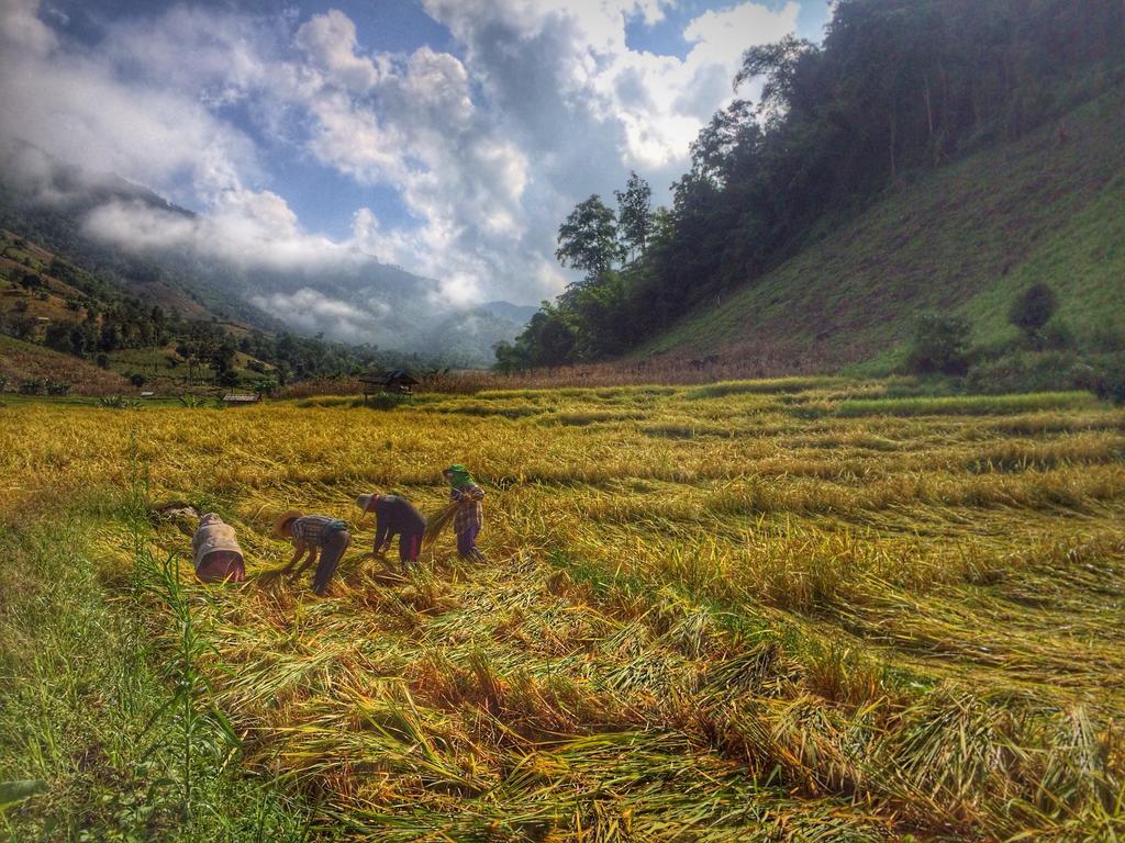 Kowitfarmstay Ban Mae Pan Noi Экстерьер фото