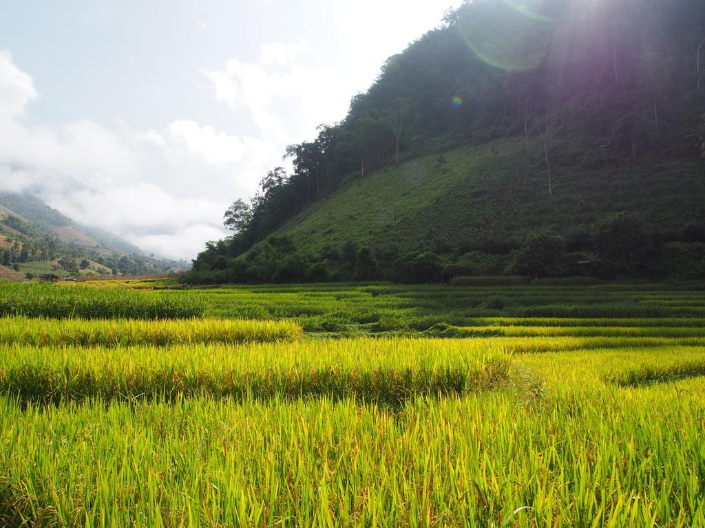Kowitfarmstay Ban Mae Pan Noi Экстерьер фото