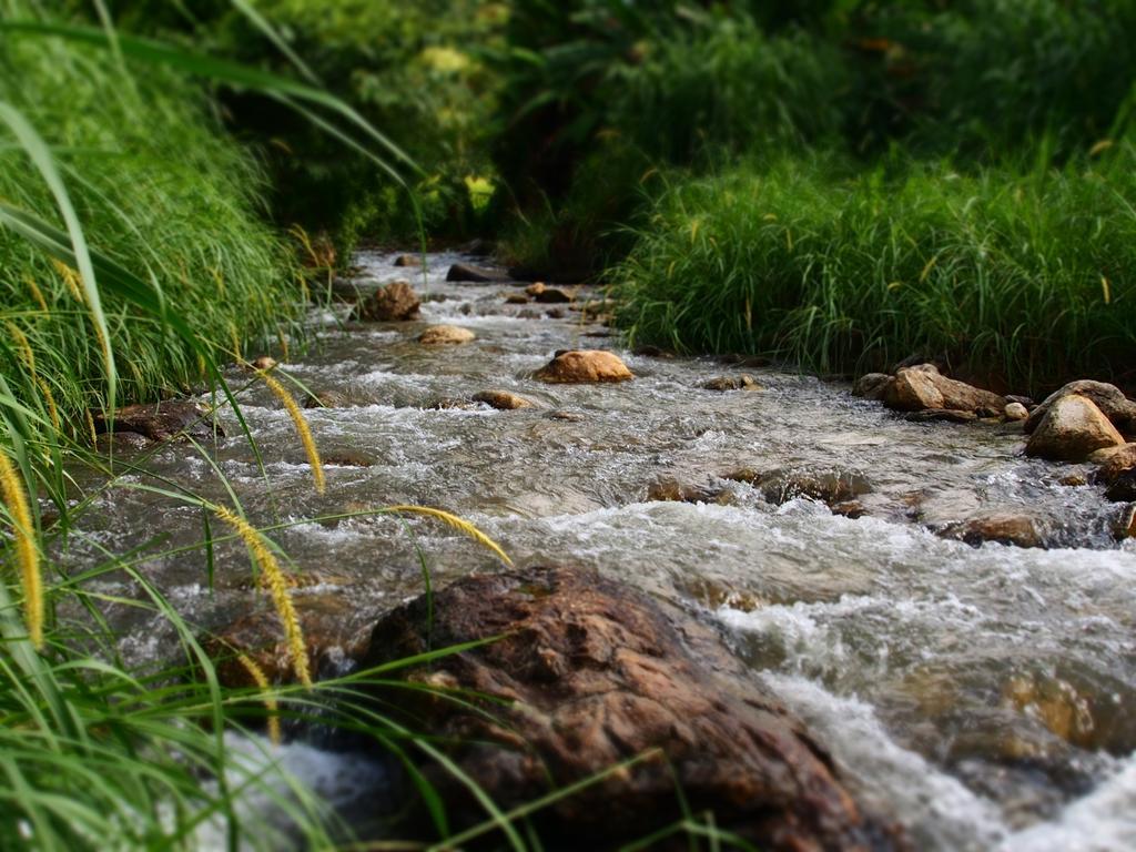 Kowitfarmstay Ban Mae Pan Noi Экстерьер фото