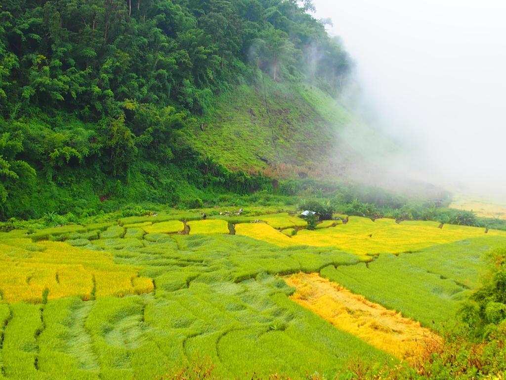 Kowitfarmstay Ban Mae Pan Noi Экстерьер фото
