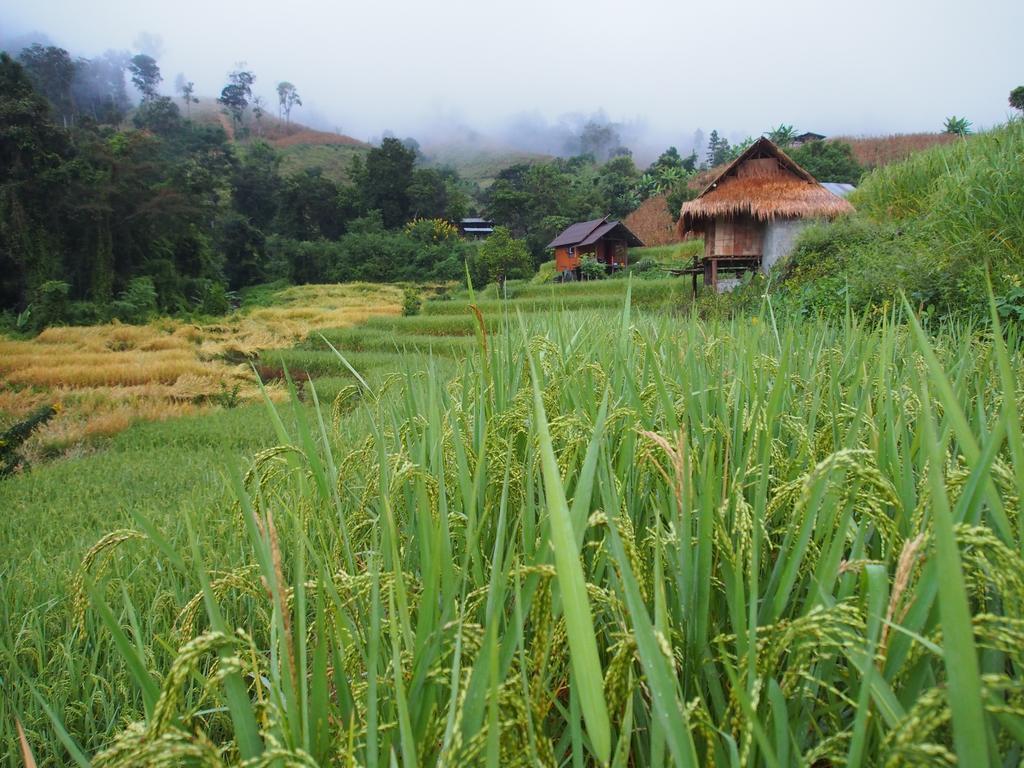 Kowitfarmstay Ban Mae Pan Noi Экстерьер фото