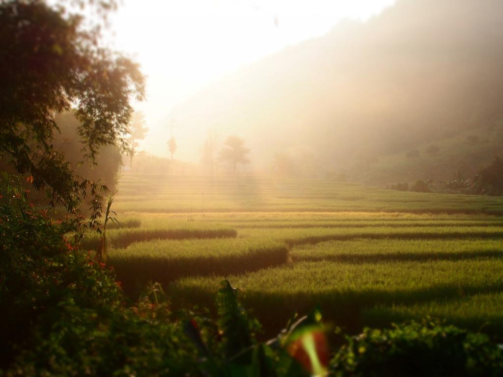 Kowitfarmstay Ban Mae Pan Noi Экстерьер фото