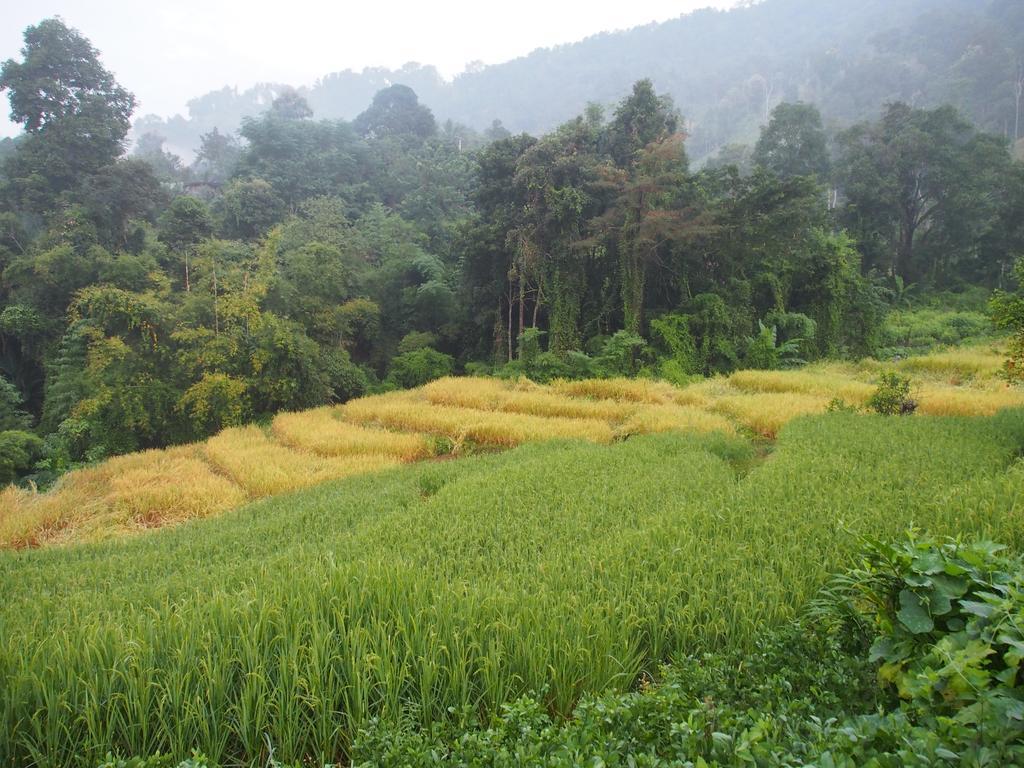 Kowitfarmstay Ban Mae Pan Noi Экстерьер фото