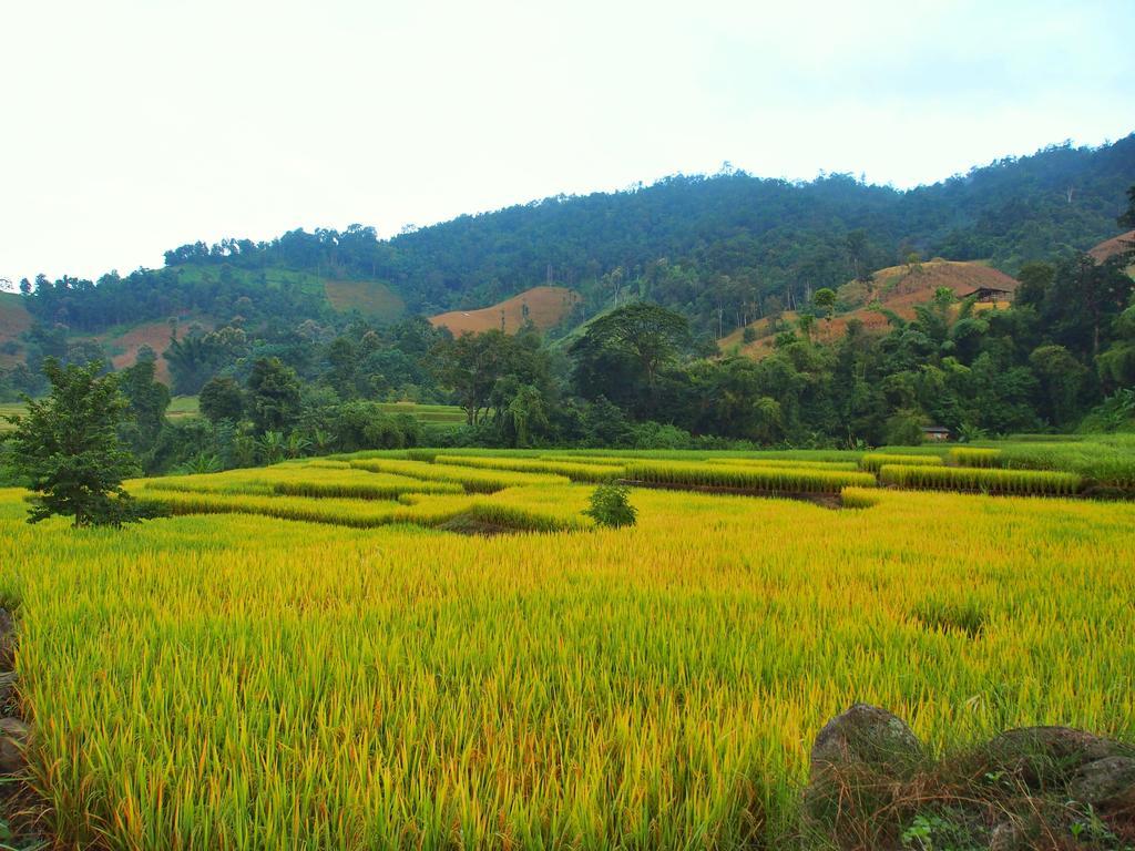 Kowitfarmstay Ban Mae Pan Noi Экстерьер фото
