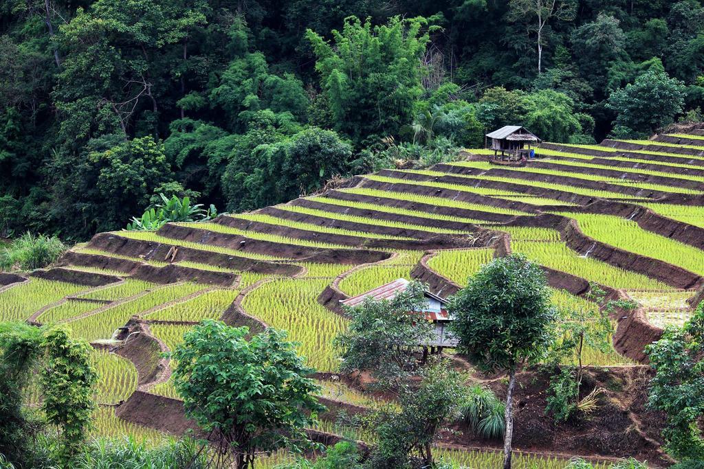 Kowitfarmstay Ban Mae Pan Noi Экстерьер фото