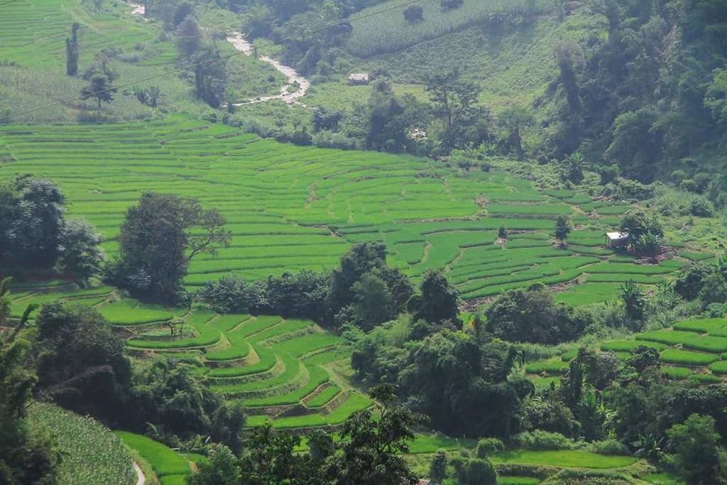 Kowitfarmstay Ban Mae Pan Noi Экстерьер фото