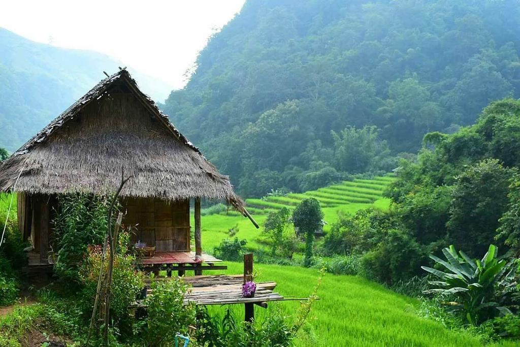 Kowitfarmstay Ban Mae Pan Noi Экстерьер фото