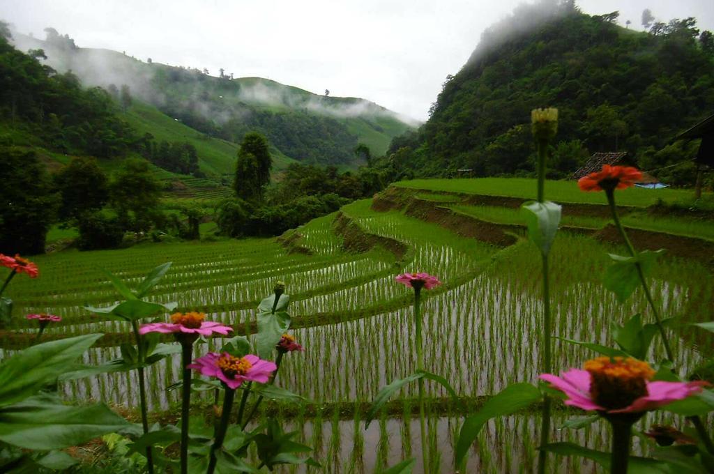 Kowitfarmstay Ban Mae Pan Noi Экстерьер фото