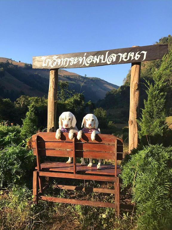 Kowitfarmstay Ban Mae Pan Noi Экстерьер фото